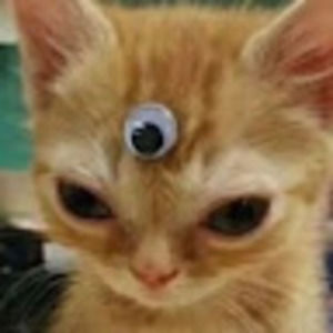 Meet your Posher, Camilla